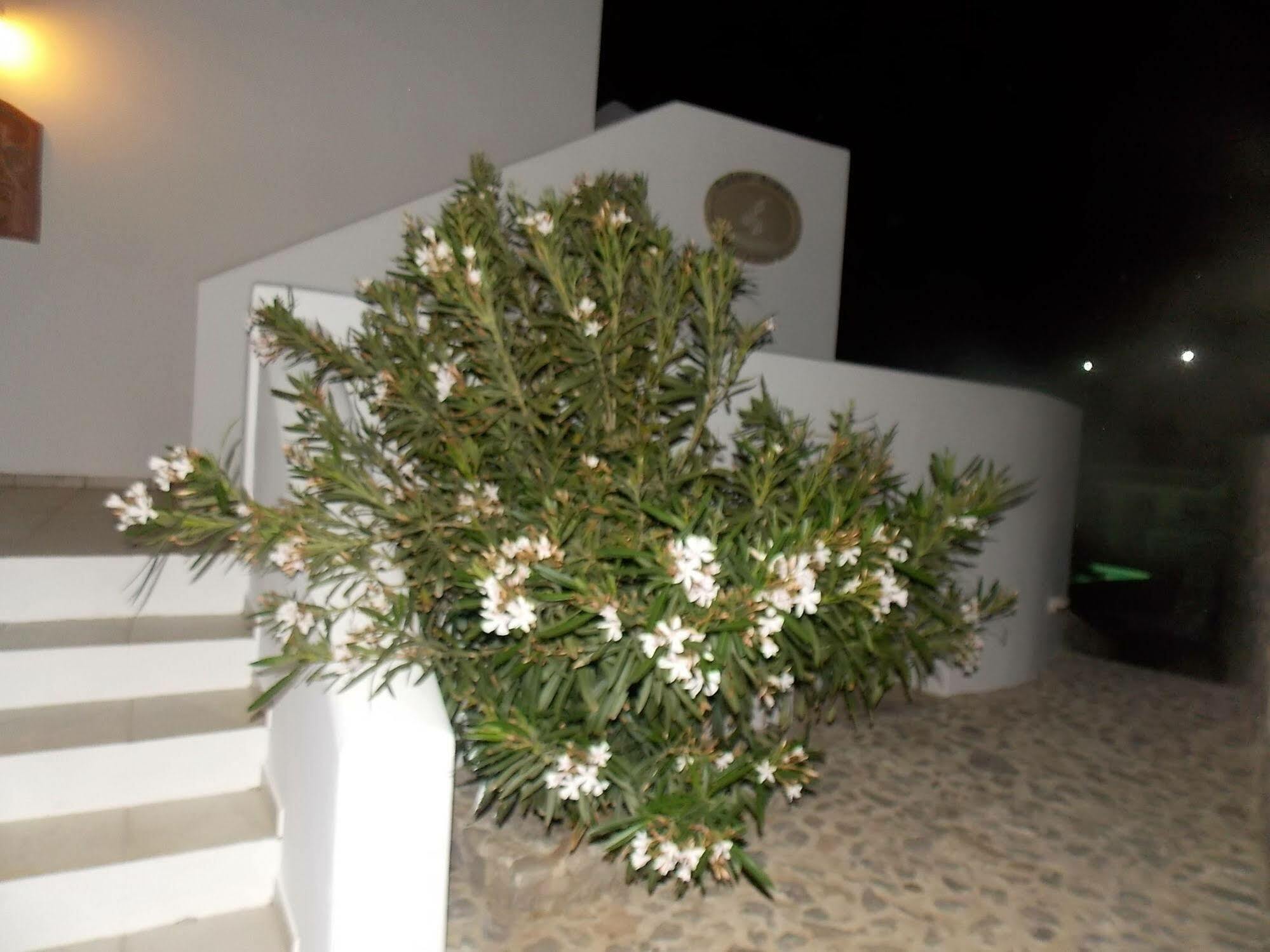 Lavarock Santorini Perissa  Ngoại thất bức ảnh